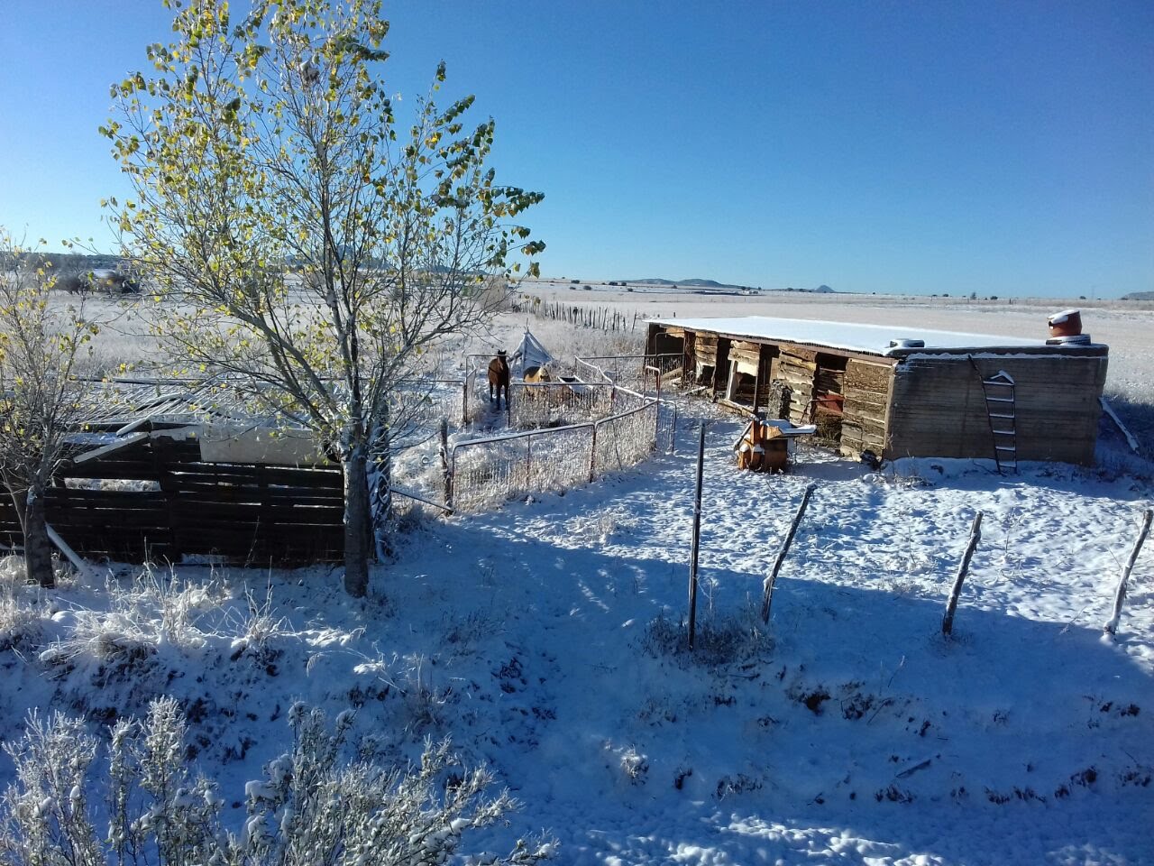 Bodas de invierno en Chihuahua: nieve, chimeneas y luz cálida